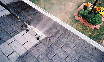 Roof Cleaning in Boston MA Roof Cleaning Services in Boston MA Roof Cleaning in MA Boston Clean the roof in Boston MA Roof Cleaner in Boston MA Roof Cleaner in MA Boston Quality Roof Cleaning in Boston MA Quality Roof Cleaning in MA Boston Professional Roof Cleaning in Boston MA Professional Roof Cleaning in MA Boston Roof Services in Boston MA Roof Services in MA Boston Roofing in Boston MA Roofing in MA Boston Clean the roof in Boston MA Cheap Roof Cleaning in Boston MA Cheap Roof Cleaning in MA Boston Estimates on Roof Cleaning in Boston MA Estimates in Roof Cleaning in MA Boston Free Estimates in Roof Cleaning in Boston MA Free Estimates in Roof Cleaning in MA Boston